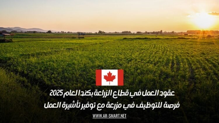عقود العمل في قطاع الزراعة بكندا لعام 2025: فرصة للتوظيف في مزرعة مع توفير تأشيرة العمل