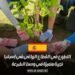 التطوع في القطاع الزراعي في إسبانيا: تجربة متميزة في وسط الطبيعة