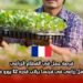 فرصة عمل في القطاع الزراعي: وظيفة عامل زراعي في فرنسا براتب قدره 12 يورو في الساعة