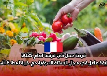 فرصة عمل في فرنسا لعام 2025: وظيفة عامل في مجال البستنة السوقية مع خبرة لمدة 6 أشهر