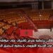 مطالب برلمانية بفرض تأشيرات على مواطني الدول الأعضاء في الاتحاد الأوروبي كخطوة لتحقيق المعاملة بالمثل