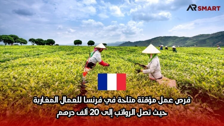 فرص عمل مؤقتة متاحة في فرنسا للعمال المغاربة، حيث تصل الرواتب إلى 20 ألف درهم