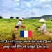 فرص عمل مؤقتة متاحة في فرنسا للعمال المغاربة، حيث تصل الرواتب إلى 20 ألف درهم