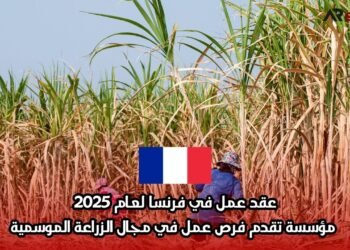 عقد عمل في فرنسا لعام 2025: مؤسسة تقدم فرص عمل في مجال الزراعة الموسمية