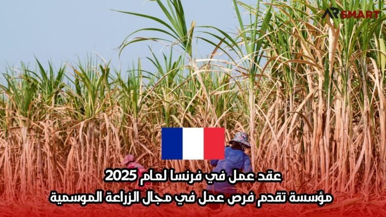 عقد عمل في فرنسا لعام 2025: مؤسسة تقدم فرص عمل في مجال الزراعة الموسمية