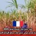 عقد عمل في فرنسا لعام 2025: مؤسسة تقدم فرص عمل في مجال الزراعة الموسمية