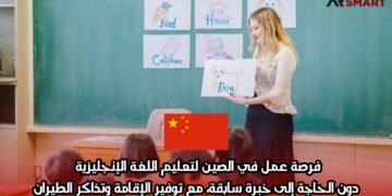 فرصة عمل في الصين لتعليم اللغة الإنجليزية دون الحاجة إلى خبرة سابقة، مع توفير الإقامة وتذاكر الطيران
