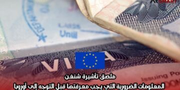 ملصق تأشيرة شنغن: المعلومات الضرورية التي يجب معرفتها قبل التوجه إلى أوروبا