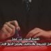 تأشيرة البحث عن عمل: دليل شامل للشروط والتكاليف وأفضل الدول التي تقدمها