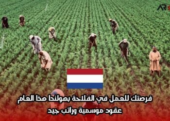 فرصتك للعمل في الفلاحة بهولندا هذا العام: عقود موسمية وراتب جيد