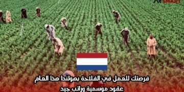 فرصتك للعمل في الفلاحة بهولندا هذا العام: عقود موسمية وراتب جيد