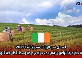 العمل في الزراعة في إيرلندا 2025: فرصة حقيقية للراغبين في بدء حياة جديدة وسط الطبيعة الأوروبية