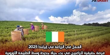 العمل في الزراعة في إيرلندا 2025: فرصة حقيقية للراغبين في بدء حياة جديدة وسط الطبيعة الأوروبية