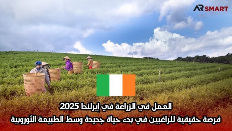 العمل في الزراعة في إيرلندا 2025: فرصة حقيقية للراغبين في بدء حياة جديدة وسط الطبيعة الأوروبية