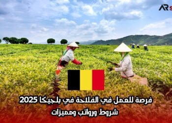 فرصة للعمل في الفلاحة في بلجيكا 2025: شروط ورواتب ومميزات