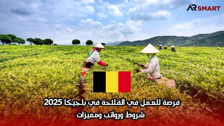 فرصة للعمل في الفلاحة في بلجيكا 2025: شروط ورواتب ومميزات