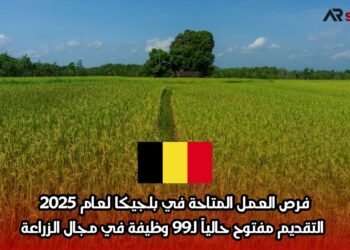 فرص العمل المتاحة في بلجيكا لعام 2025: التقديم مفتوح حالياً لـ99 وظيفة في مجال الزراعة