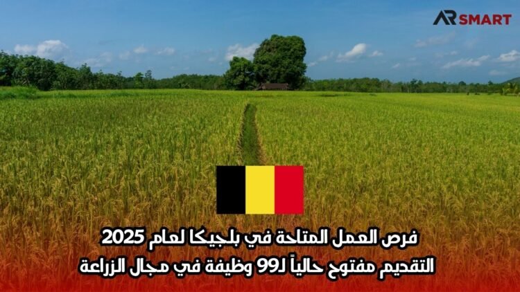 فرص العمل المتاحة في بلجيكا لعام 2025: التقديم مفتوح حالياً لـ99 وظيفة في مجال الزراعة