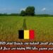 فرص العمل المتاحة في بلجيكا لعام 2025: التقديم مفتوح حالياً لـ99 وظيفة في مجال الزراعة