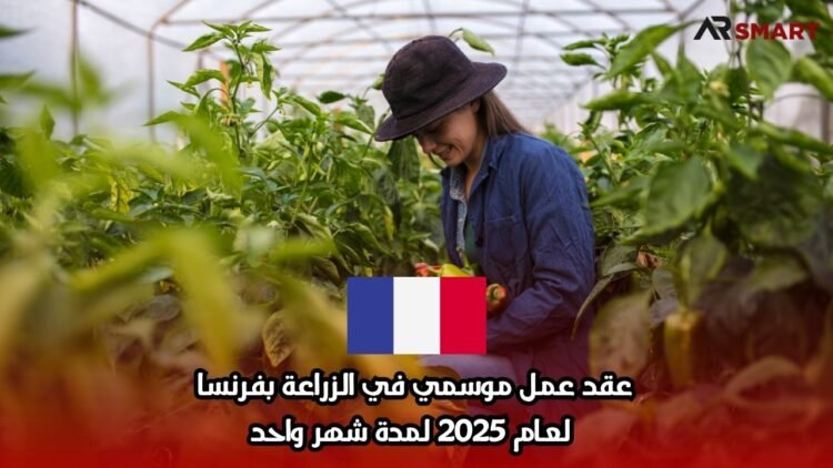 عقد عمل موسمي في الزراعة بفرنسا لعام 2025 لمدة شهر واحد
