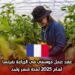 عقد عمل موسمي في الزراعة بفرنسا لعام 2025 لمدة شهر واحد