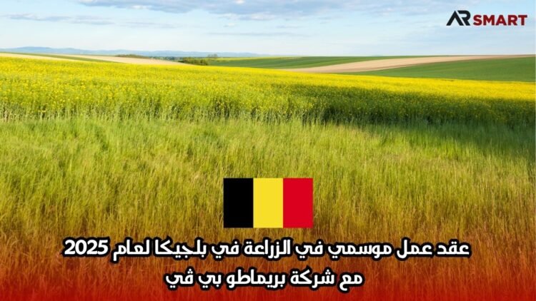 عقد عمل موسمي في الزراعة في بلجيكا لعام 2025 مع شركة بريماطو بي ڤي