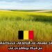 عقد عمل موسمي في الزراعة في بلجيكا لعام 2025 مع شركة بريماطو بي ڤي