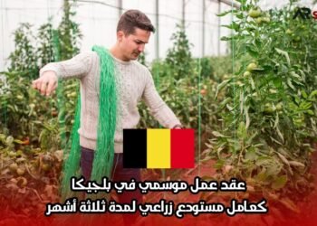 عقد عمل موسمي في بلجيكا: كعامل مستودع زراعي لمدة ثلاثة أشهر