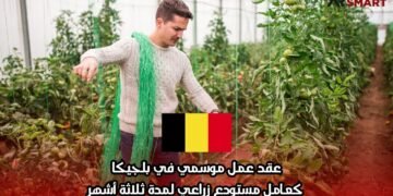 عقد عمل موسمي في بلجيكا: كعامل مستودع زراعي لمدة ثلاثة أشهر