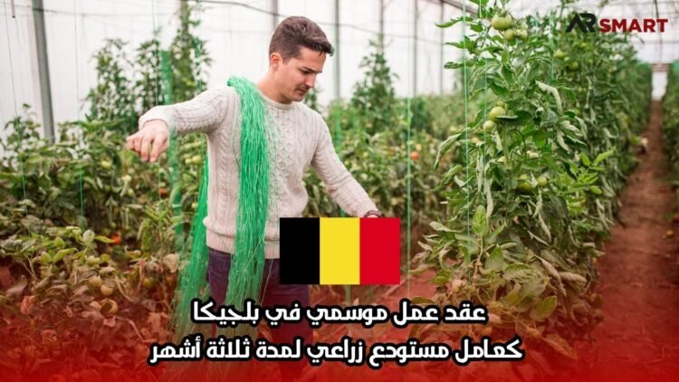 عقد عمل موسمي في بلجيكا: كعامل مستودع زراعي لمدة ثلاثة أشهر