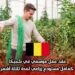 عقد عمل موسمي في بلجيكا: كعامل مستودع زراعي لمدة ثلاثة أشهر
