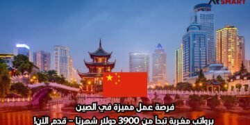 فرصة عمل مميزة في الصين برواتب مغرية تبدأ من 3900 دولار شهريًا – قدم الآن!