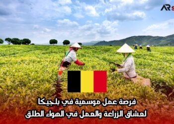 فرصة عمل موسمية في بلجيكا لعشاق الزراعة والعمل في الهواء الطلق
