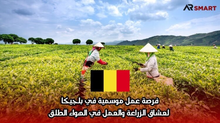 فرصة عمل موسمية في بلجيكا لعشاق الزراعة والعمل في الهواء الطلق