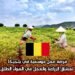 فرصة عمل موسمية في بلجيكا لعشاق الزراعة والعمل في الهواء الطلق