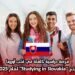 فرصة دراسية كاملة في قلب أوروبا: منح “Studying in Slovakia” لعام 2025