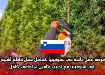 فرصة عمل دائمة في سلوفينيا كعامل قاطع أشجار في سلوفينيا مع تدريب وتأمين اجتماعي كامل