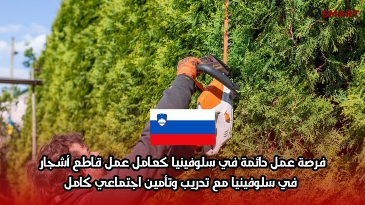 فرصة عمل دائمة في سلوفينيا كعامل قاطع أشجار في سلوفينيا مع تدريب وتأمين اجتماعي كامل