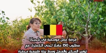 فرصة عمل موسمية في بلجيكا: مطلوب 150 عاملًا لجني الكمثرى مع توفير السكن والعمل وسط بيئة طبيعية محفزة