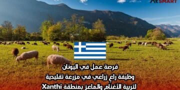 فرصة عمل في اليونان: وظيفة راعٍ زراعي في مزرعة تقليدية لتربية الأغنام والماعز بمنطقة Xanthi