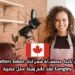 فرصة عمل في كندا: مصفف/ة شعر لدى Chatters Salon في مدينة Langley – عقد دائم وبيئة عمل عصرية