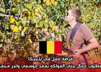 فرصة عمل في بلجيكا: مطلوب عمال جني الفواكه بعقد موسمي وأجر محفز