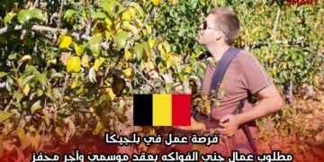 فرصة عمل في بلجيكا: مطلوب عمال جني الفواكه بعقد موسمي وأجر محفز