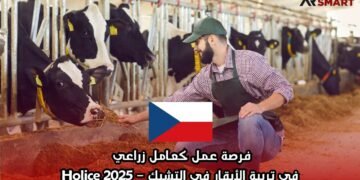 فرصة عمل كعامل زراعي في تربية الأبقار في التشيك – Holice 2025