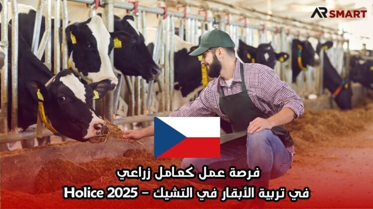 فرصة عمل كعامل زراعي في تربية الأبقار في التشيك – Holice 2025