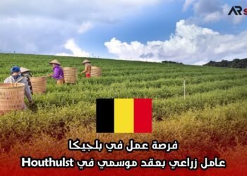 فرصة عمل في بلجيكا: عامل زراعي بعقد موسمي في Houthulst