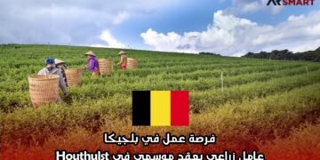 فرصة عمل في بلجيكا: عامل زراعي بعقد موسمي في Houthulst