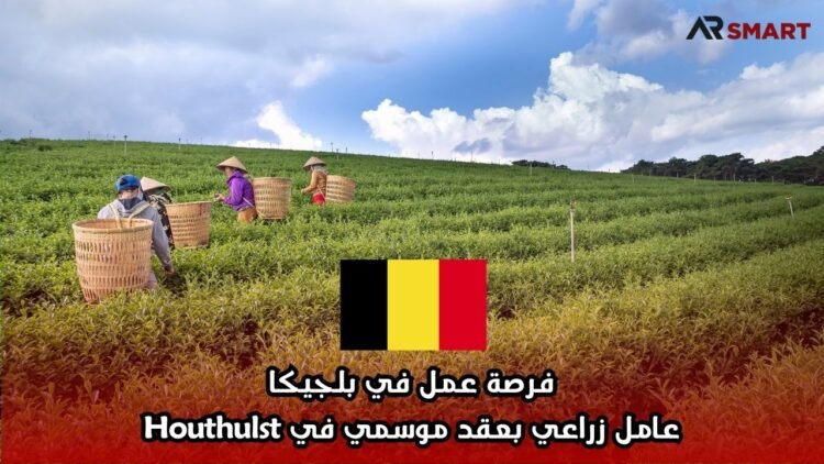فرصة عمل في بلجيكا: عامل زراعي بعقد موسمي في Houthulst