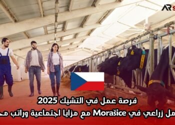 فرصة عمل في التشيك 2025: عامل زراعي في Morašice مع مزايا اجتماعية وراتب محفز