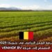 فرصة العمل الزراعي في بلجيكا 2025: الانضمام إلى شركة VENHOF BV
